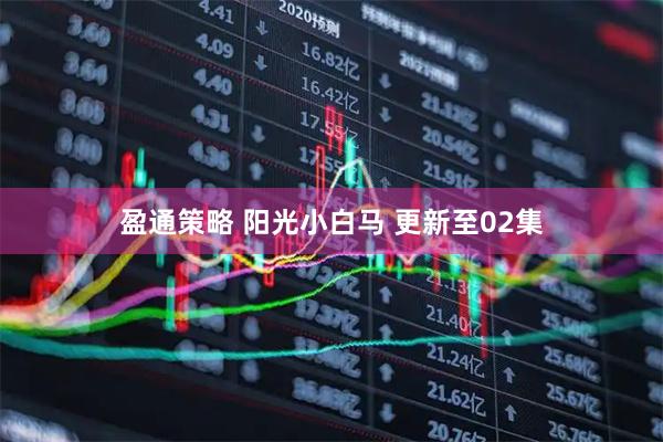 盈通策略 阳光小白马 更新至02集
