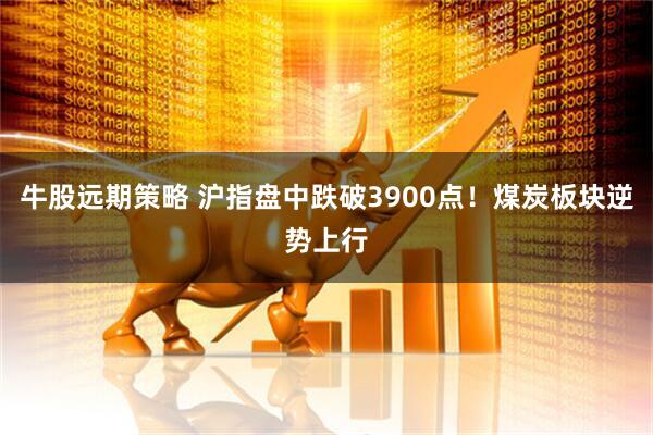 牛股远期策略 沪指盘中跌破3900点！煤炭板块逆势上行