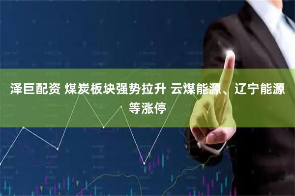 泽巨配资 煤炭板块强势拉升 云煤能源、辽宁能源等涨停