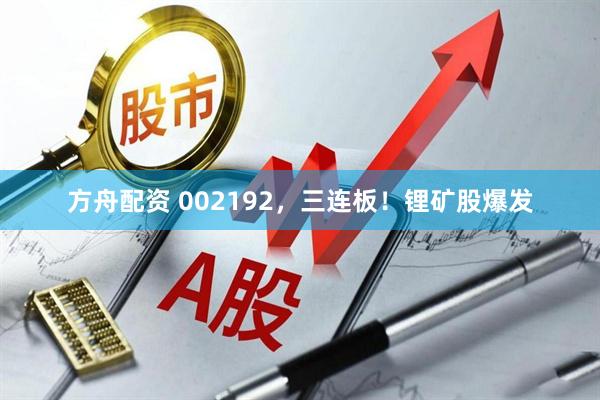 方舟配资 002192，三连板！锂矿股爆发