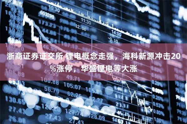浙商证券证交所 锂电概念走强，海科新源冲击20%涨停，华盛锂电等大涨