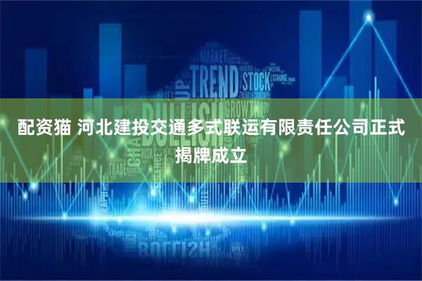 配资猫 河北建投交通多式联运有限责任公司正式揭牌成立