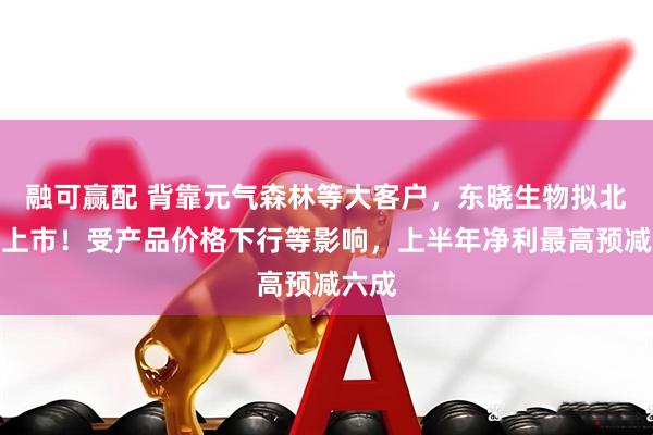 融可赢配 背靠元气森林等大客户，东晓生物拟北交所上市！受产品价格下行等影响，上半年净利最高预减六成