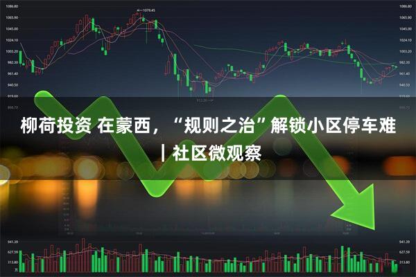 柳荷投资 在蒙西，“规则之治”解锁小区停车难｜社区微观察
